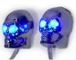 Scary Skulls