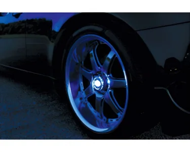 Instant Blue-Tribe Blå