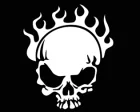 Köp Skull 02 - Flames