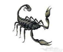 Köp Scorpion - CarTattoo Köp Scorpion - CarTattoo