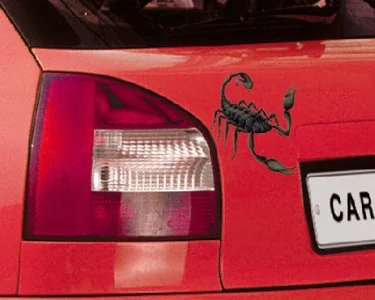 Köp Scorpion - CarTattoo Scorpion - CarTattoo