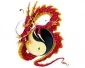 Ying & Yang Dragon - CarTattoo