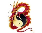 Köp Ying & Yang Dragon - CarTattoo