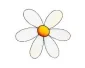 Daisy - CarTattoo