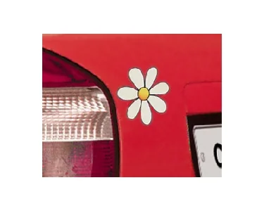 Daisy - CarTattoo