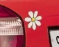 Daisy - CarTattoo