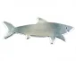 Köp Krom-emblem - Shark Köp Krom-emblem - Shark