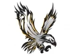 Köp Eagle - Dekalkarta
