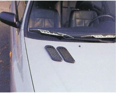 Air Flow DAF 11 - Luftintag