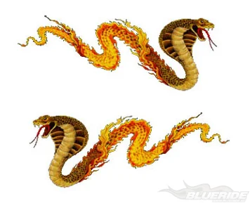 Köp Blazing Cobras - CarTattoo Köp Blazing Cobras - CarTattoo