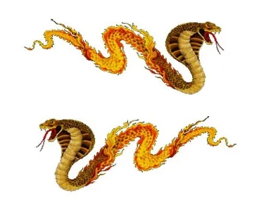 Köp Blazing Cobras - CarTattoo Blazing Cobras - CarTattoo