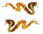 Blazing Cobras - CarTattoo