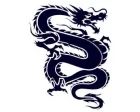 Köp Dragon - CarTattoo Magic Ink