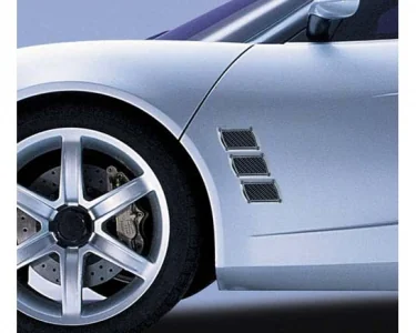 Air Flow DAF 21 Carbon - Luftintag