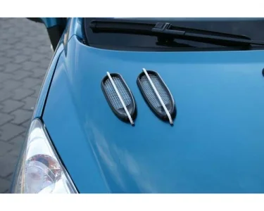 Air Flow DAF 22 Bars - Luftintag