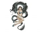 Köp Dragon Woman - 17x10