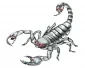 Köp Silver Scorpion - 11x10