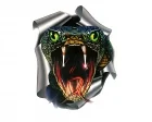 Köp Snake WildGraphic Stor - Dekal