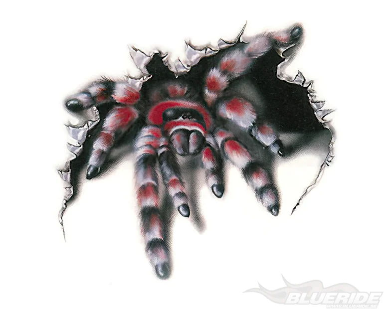 Köp Spider WildGraphic Stor - Dekal Köp Spider WildGraphic Stor - Dekal