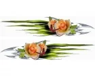 Köp Metal Roses Stripes - Dekaler