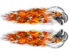Köp Eagles & Flames