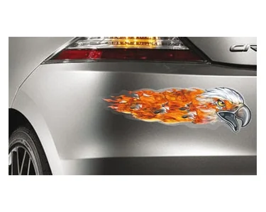 Eagles & Flames