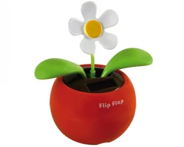 Happy Garden - Daisy