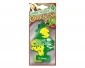 Köp Green Tea II - Doftgran