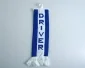 Mini Scarf - Volvo Driver