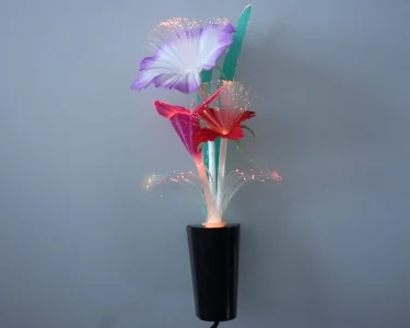 Köp Rainbow Flower - 24v