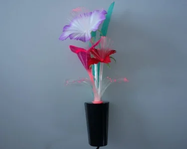 Rainbow Flower - 24v