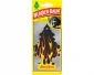 Citrus Flames - Wunderbaum Rocks!