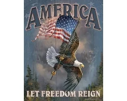 Köp America Let Freetdom Reign - Retro Skylt
