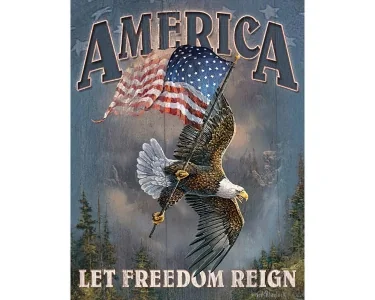 Köp America Let Freetdom Reign - Retro Skylt