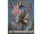Köp America Let Freetdom Reign - Retro Skylt