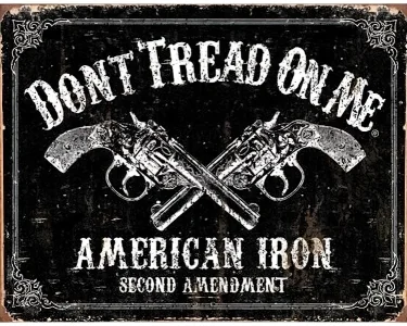 DTOM American Iron Second Amendment - Retro Skylt