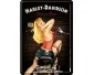 Vykort Harley Davidson - Biker Babe