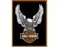 Magnet Harley Davidson - Eagle
