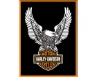Köp Magnet Harley Davidson - Eagle