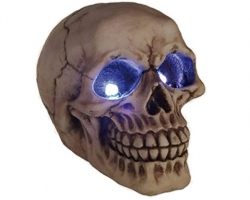 Köp Skull med LED