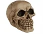 Skull med LED