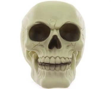 Skull - Glow in the Dark