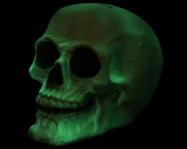 Skull - Glow in the Dark