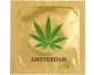 Köp Kondom - Amsterdam Maja Guld