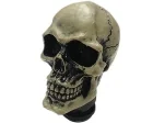 Köp Växelspak Skeletor - Naturfärg