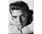 Magnet Elvis