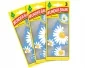 Wunderbaum 3-pack, Daisy Flower