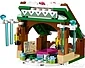 LEGO Disney 41147, Annas Snow Adventure
