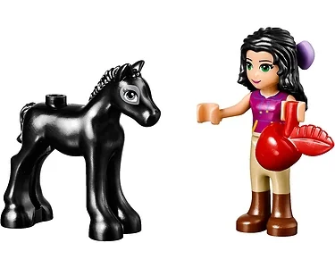 LEGO Friends 41123, Foals Washing Station