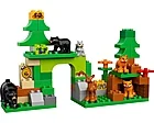 LEGO Duplo 10584, Forest: Park